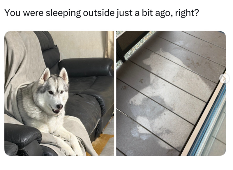 You were sleeping outside just a bit ago, right?