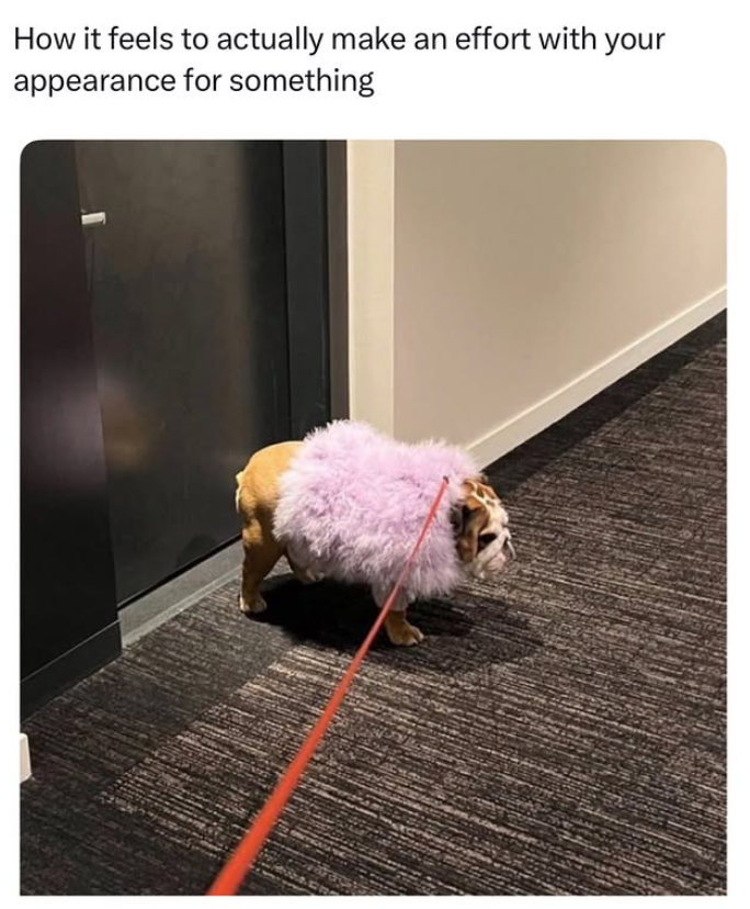 How it feels to actually make an effort with your appearance for something