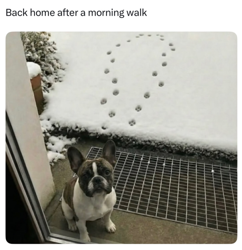 Back home after a morning walk