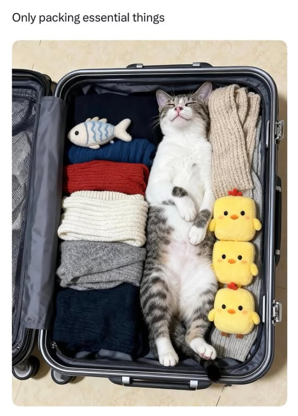 Only packing essential things