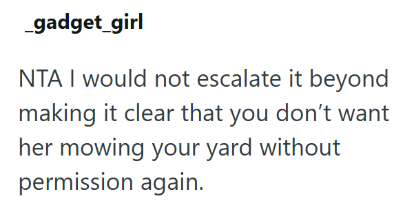 _gadget_girl NTA I would not escalate it beyond making it clear that you don't want her mowing your yard without permission again.
