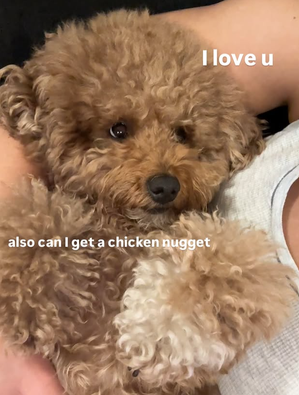 I love u also can I get a chicken nugget