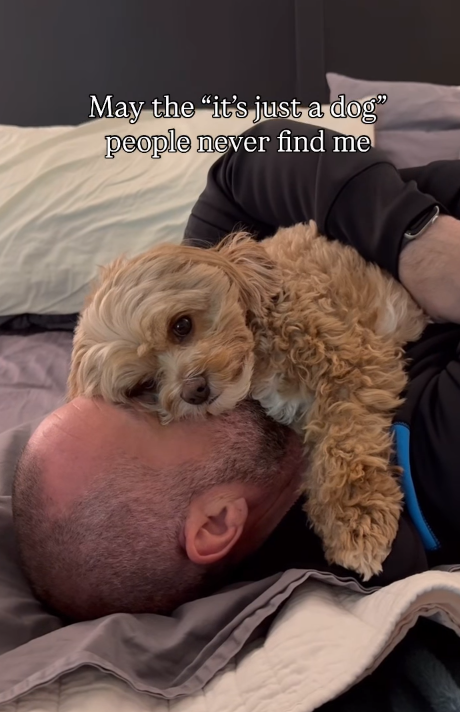 May the "it's just a dog" people never find me