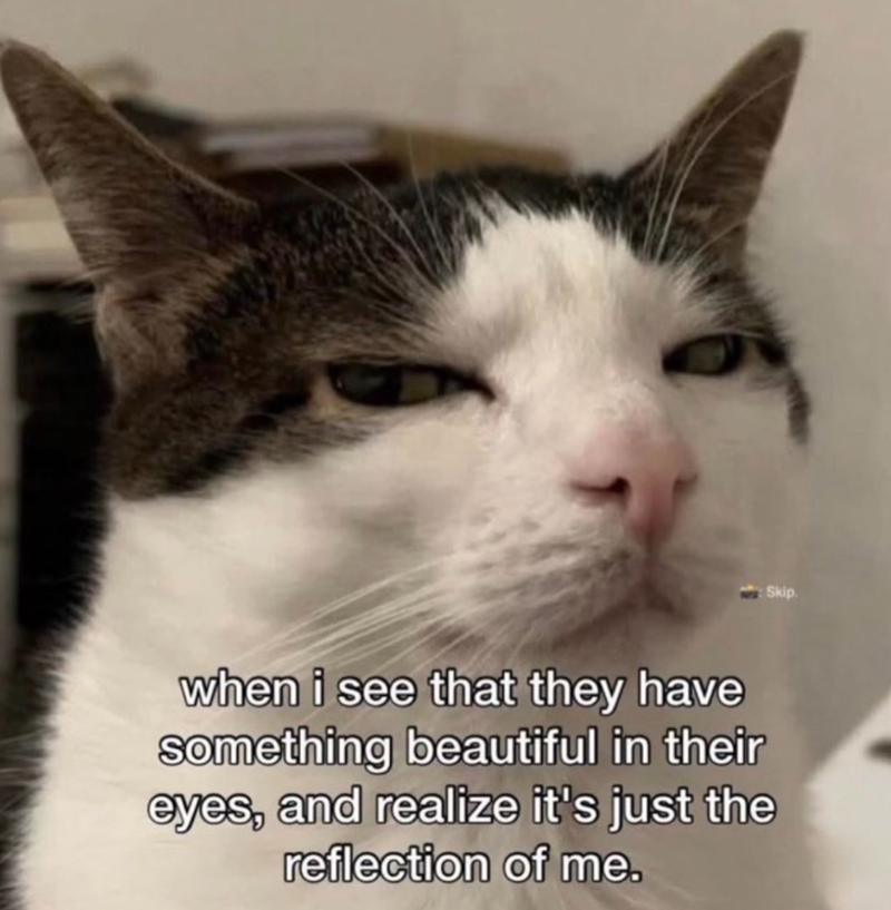 when i see that they have something beautiful in their eyes, and realize it's just the reflection of me. Skip.