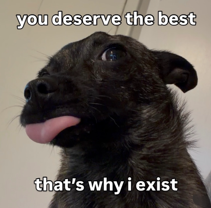 you deserve the best C that's why i exist