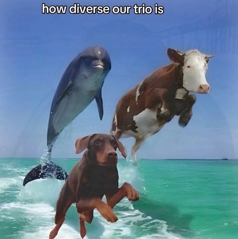 how diverse our trio is Suvrage Rice