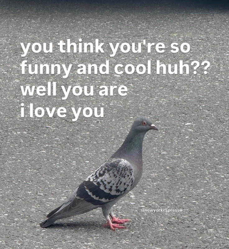 you think you're so funny and cool huh?? well you are i love you newyorkespresso