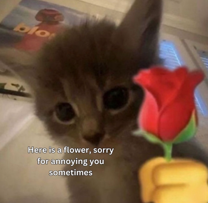 blo Here is a flower, sorry for annoying you sometimes
