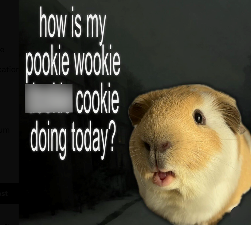 e cation um how is my pookie wookie cookie doing today? st
