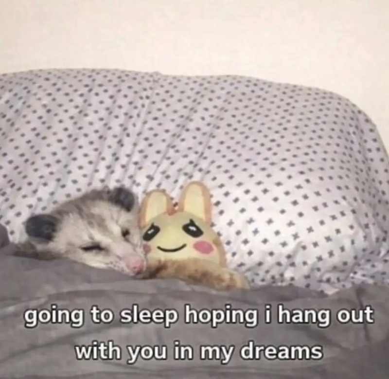 going to sleep hoping i hang out with you in my dreams