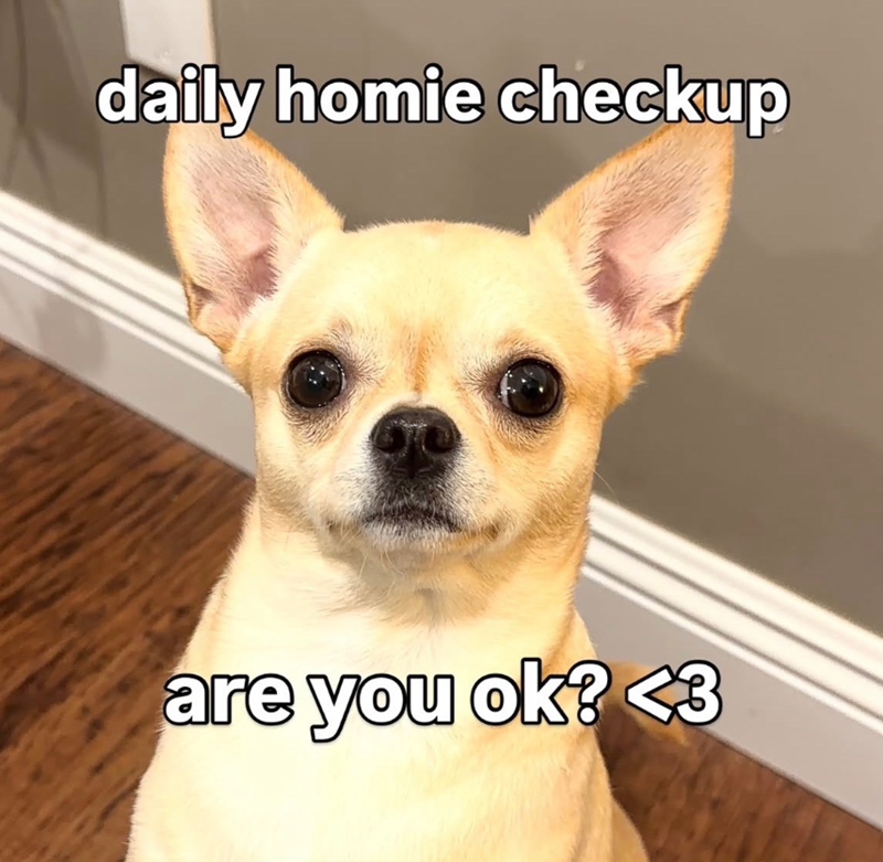 daily homie checkup are you ok? <3