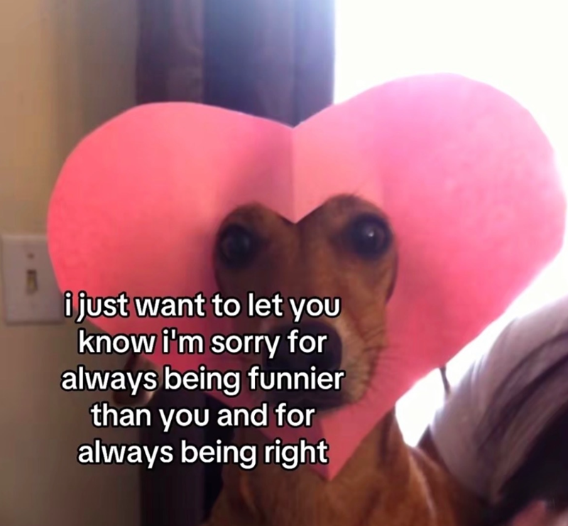 i just want to let you know i'm sorry for always being funnier than you and for always being right