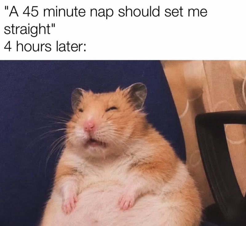 "A 45 minute nap should set me straight" 4 hours later: