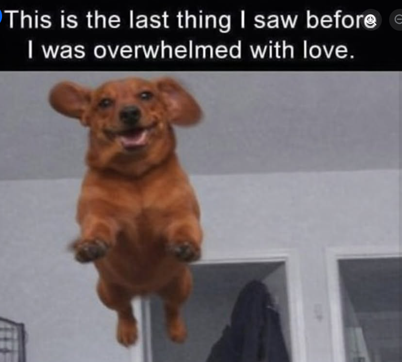 This is the last thing I saw before I was overwhelmed with love.
