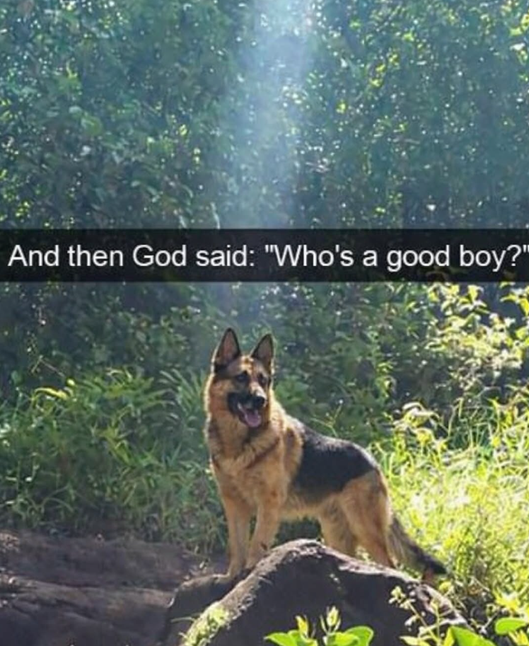 And then God said: "Who's a good boy?"