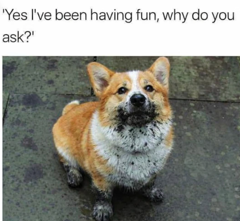 'Yes I've been having fun, why do you ask?'