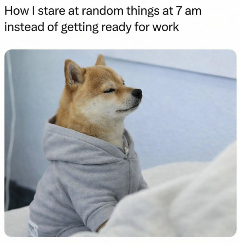 How I stare at random things at 7 am instead of getting ready for work