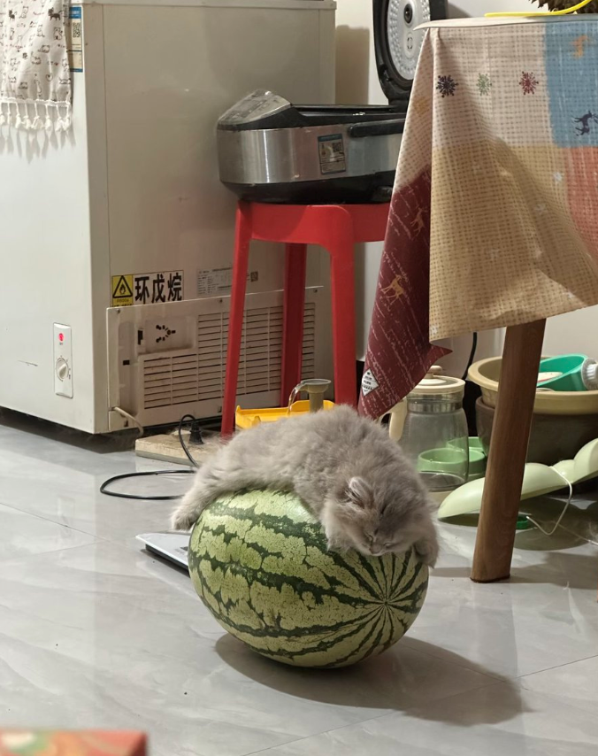 今 环戊烷