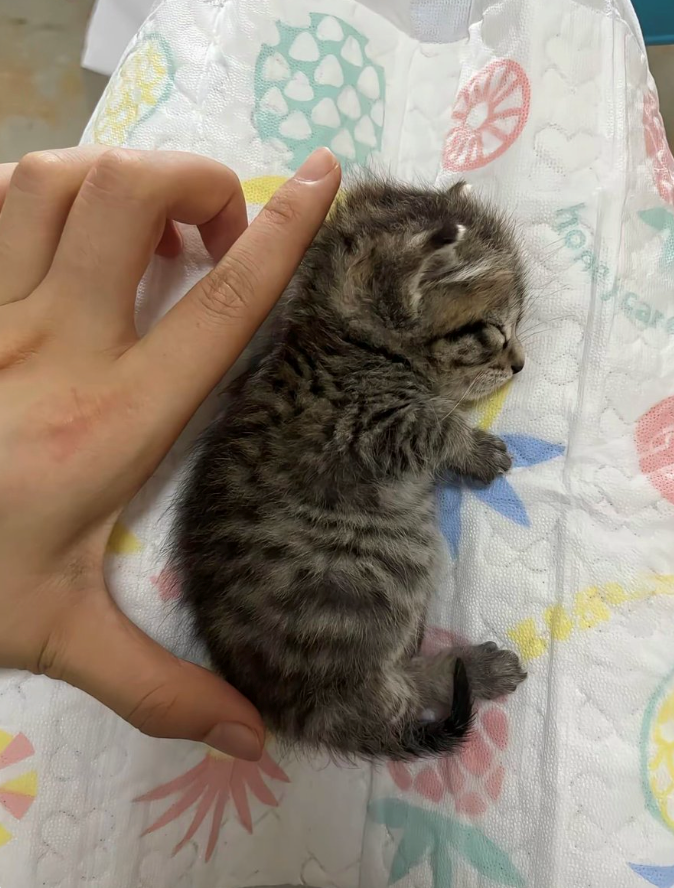 hopeycare