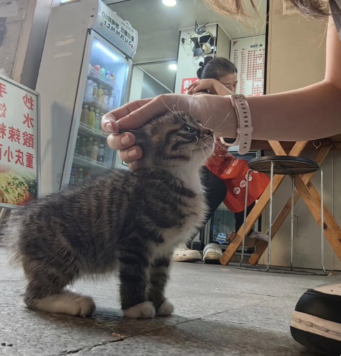 米 ㄠ 小重 ga