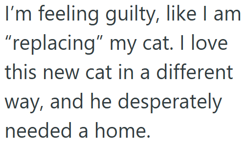 I'm feeling guilty, like I am "replacing" my cat. I love this new cat in a different way, and he desperately needed a home.