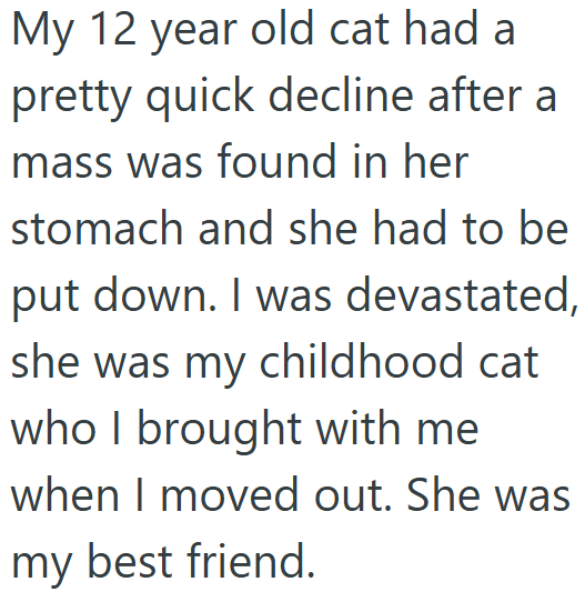 My 12 year old cat had a pretty quick decline after a mass was found in her stomach and she had to be put down. I was devastated, she was my childhood cat who I brought with me when I moved out. She was my best friend.