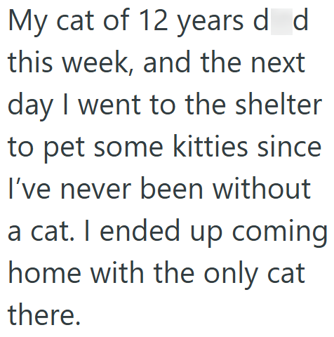 My cat of 12 years d d this week, and the next day I went to the shelter to pet some kitties since I've never been without a cat. I ended up coming home with the only cat there.
