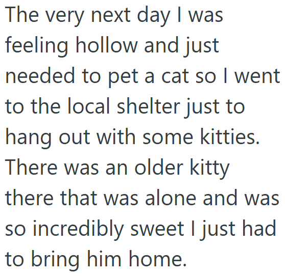 The very next day I was feeling hollow and just needed to pet a cat so I went to the local shelter just to hang out with some kitties. There was an older kitty there that was alone and was so incredibly sweet I just had to bring him home.