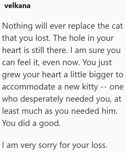 velkana Nothing will ever replace the cat that you lost. The hole in your heart is still there. I am sure you can feel it, even now. You just grew your heart a little bigger to accommodate a new kitty -- one who desperately needed you, at least much as you needed him. You did a good. I am very sorry for your loss.