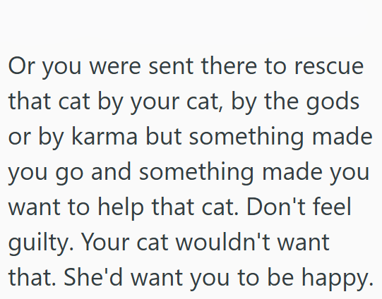 Or you were sent there to rescue that cat by your cat, by the gods or by karma but something made you go and something made you want to help that cat. Don't feel guilty. Your cat wouldn't want that. She'd want you to be happy.