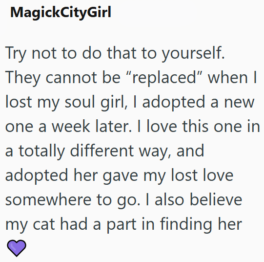 MagickCityGirl Try not to do that to yourself. They cannot be "replaced" when I lost my soul girl, I adopted a new one a week later. I love this one in a totally different way, and adopted her gave my lost love somewhere to go. I also believe my cat had a part in finding her
