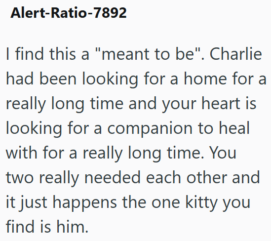 Alert-Ratio-7892 I find this a "meant to be". Charlie had been looking for a home for a really long time and your heart is looking for a companion to heal with for a really long time. You two really needed each other and it just happens the one kitty you find is him.
