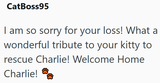 CatBoss95 I am so sorry for your loss! What a wonderful tribute to your kitty to rescue Charlie! Welcome Home Charlie!