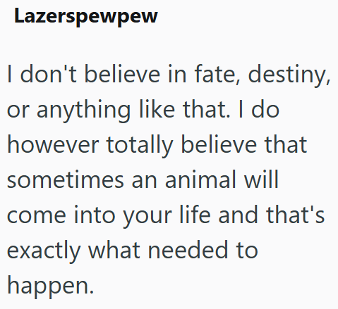 Lazerspewpew I don't believe in fate, destiny, or anything like that. I do however totally believe that sometimes an animal will come into your life and that's exactly what needed to happen.