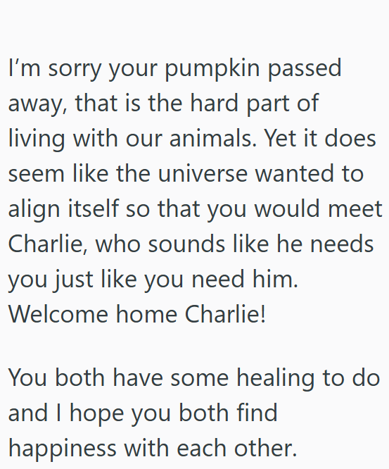 I'm sorry your pumpkin passed away, that is the hard part of living with our animals. Yet it does seem like the universe wanted to align itself so that you would meet Charlie, who sounds like he needs you just like you need him. Welcome home Charlie! You both have some healing to do and I hope you both find happiness with each other.
