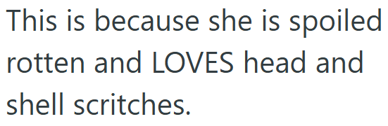 This is because she is spoiled rotten and LOVES head and shell scritches.