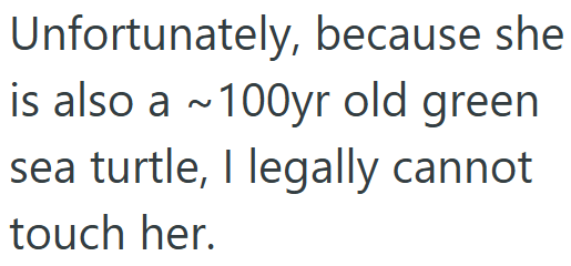 Unfortunately, because she is also a ~100yr old green sea turtle, I legally cannot touch her.