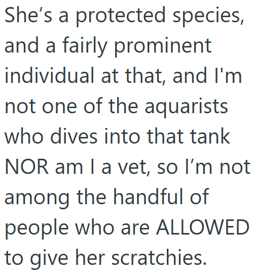 She's a protected species, and a fairly prominent individual at that, and I'm not one of the aquarists who dives into that tank NOR am I a vet, so I'm not among the handful of people who are ALLOWED to give her scratchies.