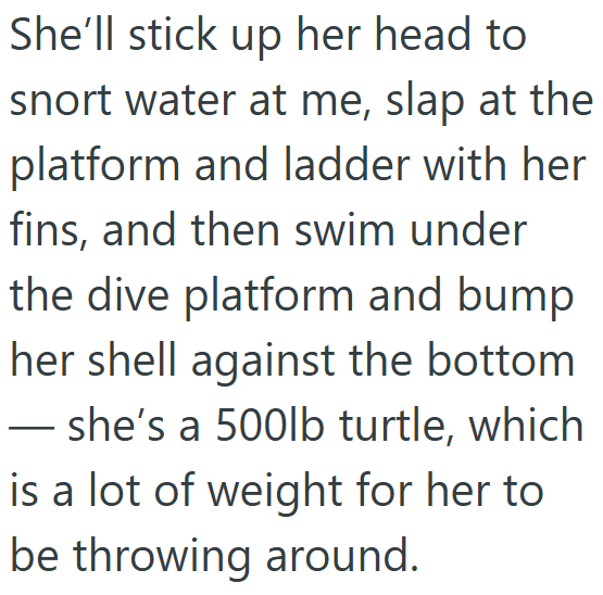 She'll stick up her head to snort water at me, slap at the platform and ladder with her fins, and then swim under the dive platform and bump her shell against the bottom ― she's a 500lb turtle, which is a lot of weight for her to be throwing around.