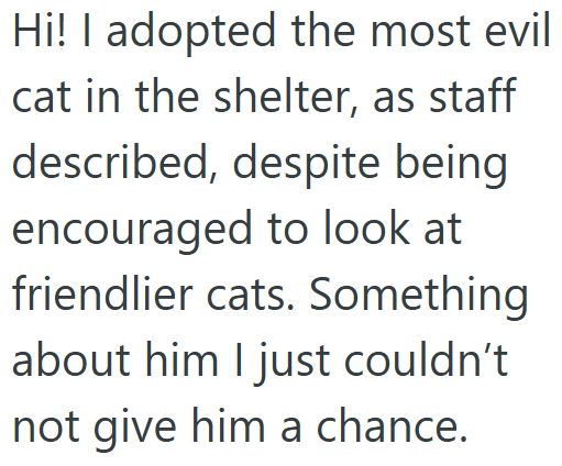 Hi! I adopted the most evil cat in the shelter, as staff described, despite being encouraged to look at friendlier cats. Something about him I just couldn't not give him a chance.