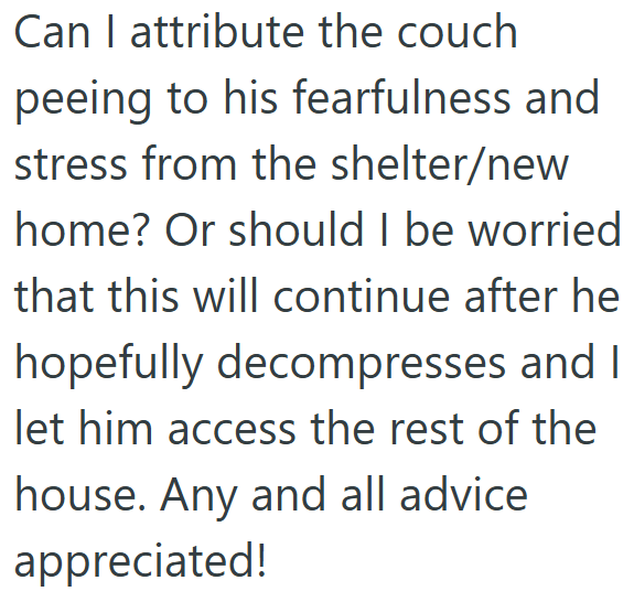 Can I attribute the couch peeing to his fearfulness and stress from the shelter/new home? Or should I be worried that this will continue after he hopefully decompresses and I let him access the rest of the house. Any and all advice appreciated!