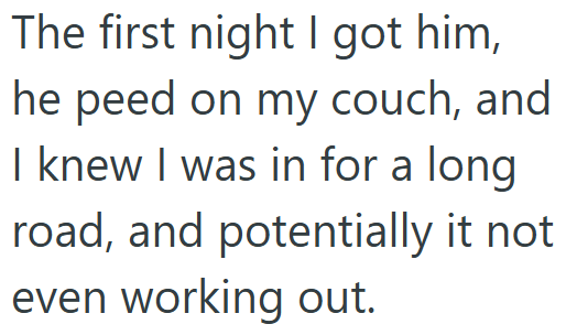 The first night I got him, he peed on my couch, and I knew I was in for a long road, and potentially it not even working out.