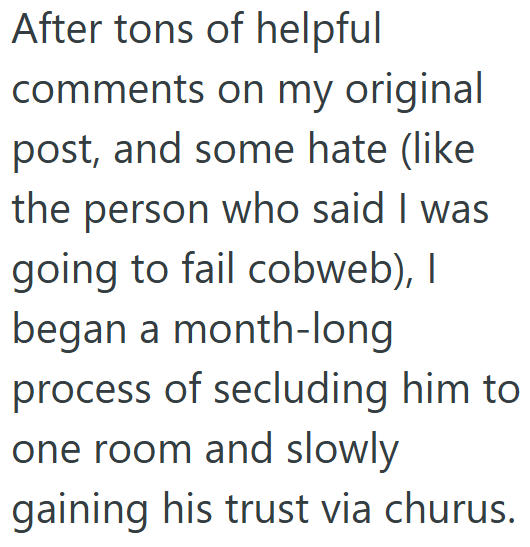 After tons of helpful comments on my original post, and some hate (like the person who said I was going to fail cobweb), I began a month-long process of secluding him to one room and slowly gaining his trust via churus.