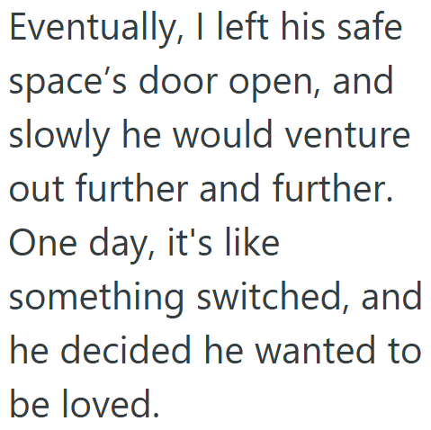 Eventually, I left his safe space's door open, and slowly he would venture out further and further. One day, it's like something switched, and he decided he wanted to be loved.
