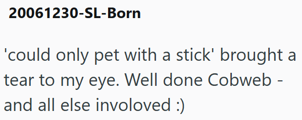 20061230-SL-Born 'could only pet with a stick' brought a tear to my eye. Well done Cobweb - and all else involoved :)