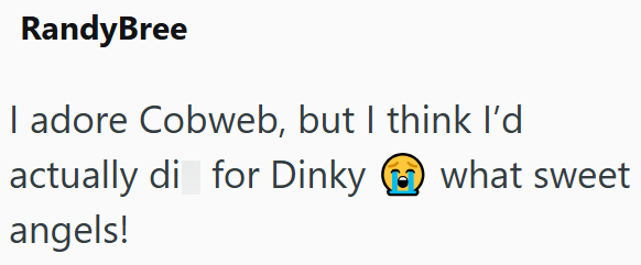 RandyBree I adore Cobweb, but I think I'd actually di for Dinky angels! what sweet