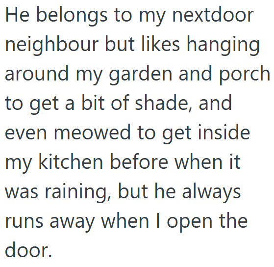 He belongs to my nextdoor neighbour but likes hanging around my garden and porch to get a bit of shade, and even meowed to get inside my kitchen before when it was raining, but he always runs away when I open the door.
