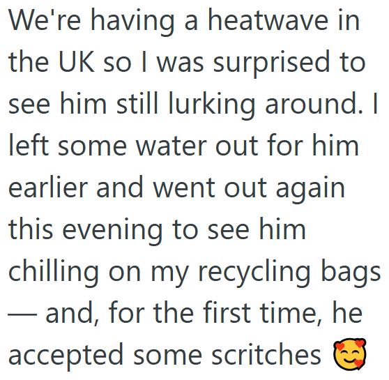 We're having a heatwave in the UK so I was surprised to see him still lurking around. I left some water out for him earlier and went out again this evening to see him chilling on my recycling bags ― and, for the first time, he accepted some scritches