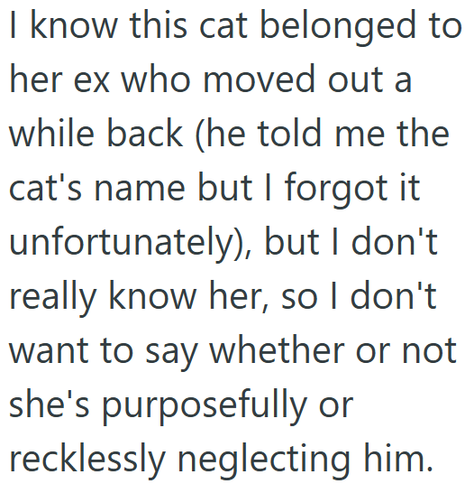 I know this cat belonged to her ex who moved out a while back (he told me the cat's name but I forgot it unfortunately), but I don't really know her, so I don't want to say whether or not she's purposefully or recklessly neglecting him.