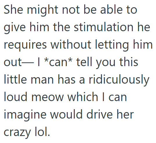 She might not be able to give him the stimulation he requires without letting him out― | *can* tell you this little man has a ridiculously loud meow which I can imagine would drive her crazy lol.